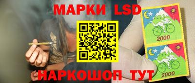 прущие грибы Кулебаки